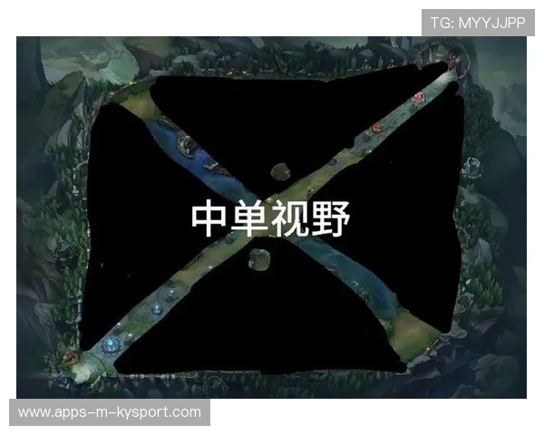 LPL赛季中期战术调整亮点解析，lol中期